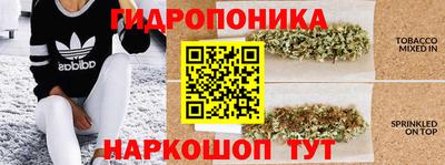 spice Жуковский
