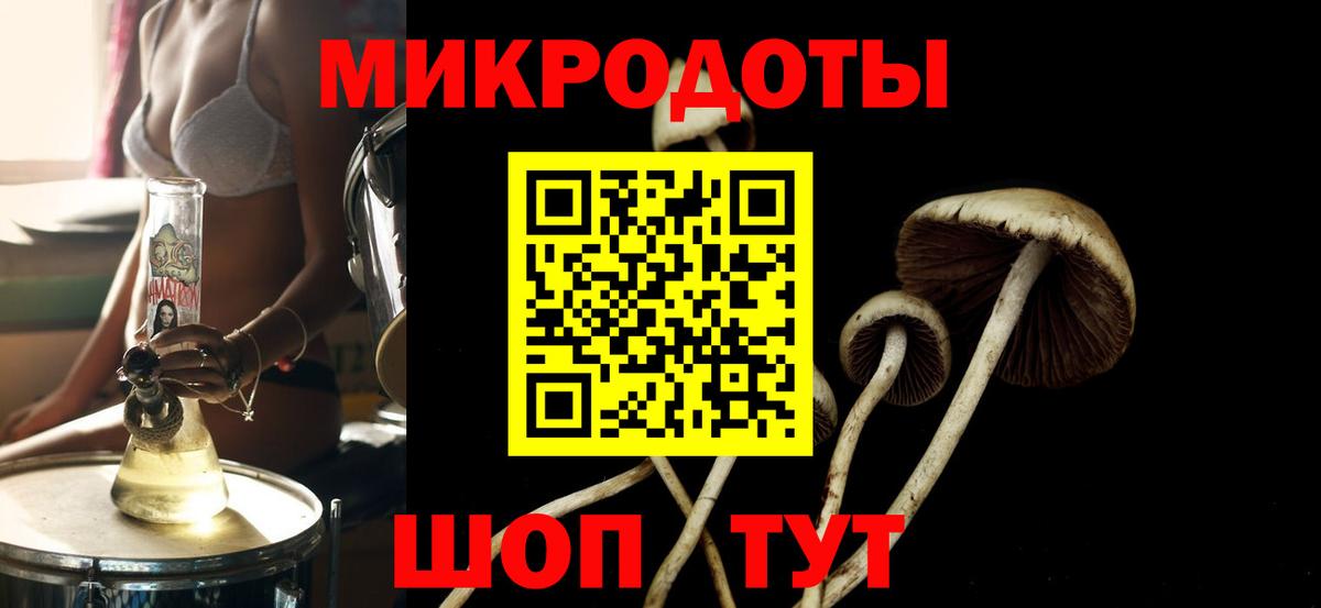 Галлюциногенные грибы MAGIC MUSHROOMS Мурманск